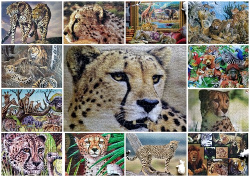 1 - ashk. Пазлоколлекция гепардов - 10 шт..jpg