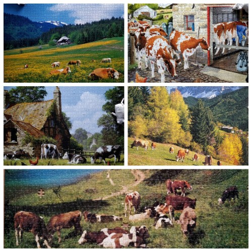 3 - ashk. Пазлоколлекция коров - 5 шт.jpg