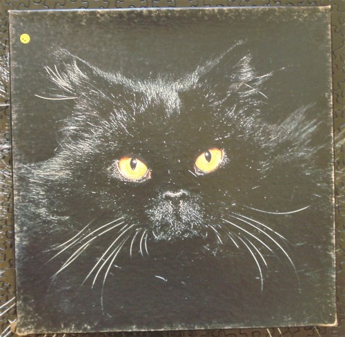 коробка.JPG (681.06 КБ) 2946 просмотров коробка.JPG