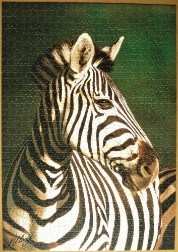 Зебра 1000.jpg.JPG (1019.76 КБ) 1142 просмотра Зебра 1000.jpg.JPG