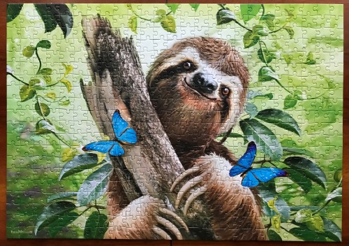 Castorland. Don’t Hurry, Be Happy. Не спеши, будь счастлив. 500. Арт. В-53223.JPG