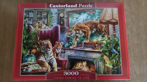 Тигры-возвращение в реальность.jpg