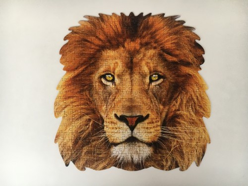 Lion, 367 (18653).JPG