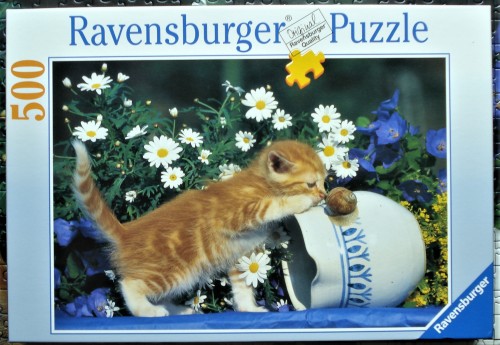 котенок с улиткой .jpg.JPG