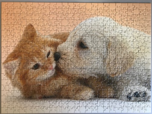 Ravensburger. Big Kiss. Большой поцелуй. 500. Арт. 14172 2.JPG
