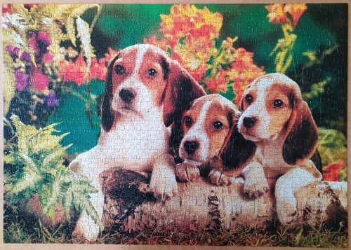 IMG_20201020_103339.jpg (650.89 КБ) 3646 просмотров IMG_20201020_103339.jpg