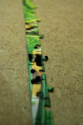 IMG_7040.JPG (89.37 КБ) 4879 просмотров Бархат!