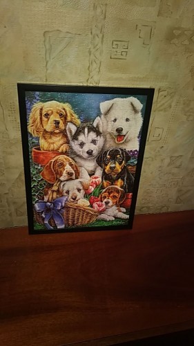 IMG_20210120_132034_171.jpg