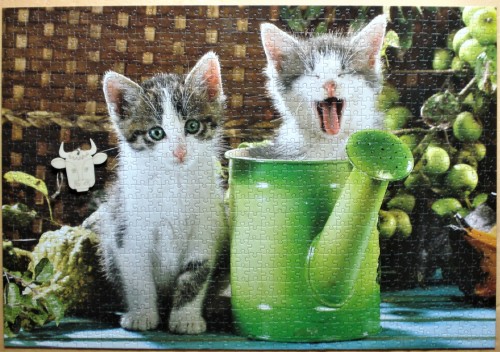 котята.JPG (1.34 МБ) 1223 просмотра котята.JPG