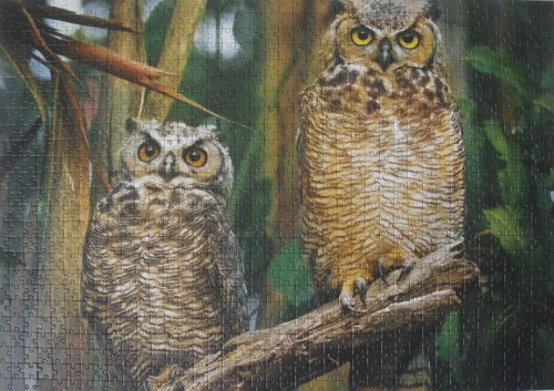 Owls.JPG
