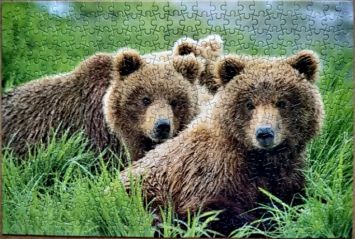 IMG_20210310_111105.jpg (2.65 МБ) 262 просмотра IMG_20210310_111105.jpg