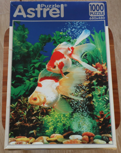 IMG_20211009_191007.jpg (1.09 МБ) 7297 просмотров IMG_20211009_191007.jpg