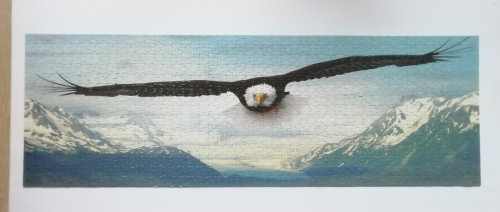 IMG_20210910_172826.jpg (540.87 КБ) 806 просмотров IMG_20210910_172826.jpg