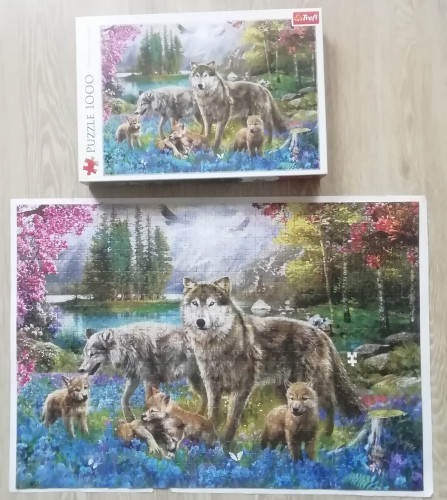 IMG_20211004_101538.jpg (1.13 МБ) 304 просмотра IMG_20211004_101538.jpg