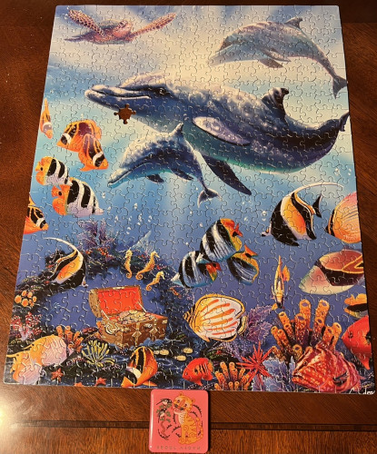 E4249A39-F4A8-48A1-B980-147B6C12AC5C.jpeg (753.08 КБ) 642 просмотра E4249A39-F4A8-48A1-B980-147B6C12AC5C.jpeg