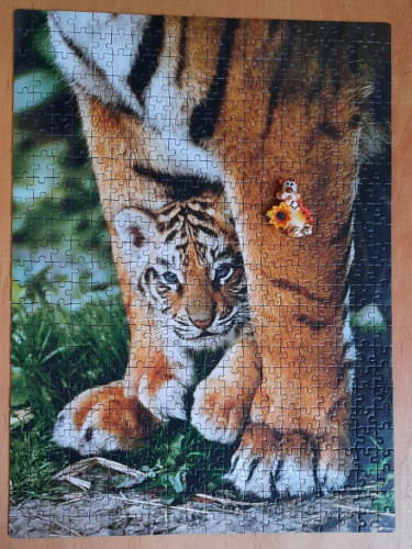 IMG-20220124-WA0007.jpg (255.29 КБ) 1285 просмотров IMG-20220124-WA0007.jpg