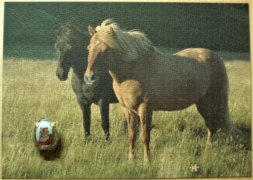 пазлозима 18.JPG