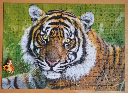 IMG-20220206-WA0001.jpg (241.67 КБ) 759 просмотров IMG-20220206-WA0001.jpg