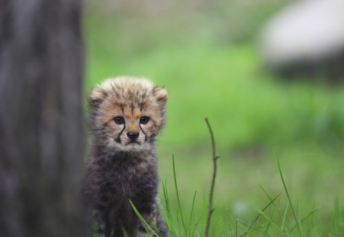 0.jpg (264.89 КБ) 437 просмотров 0.jpg