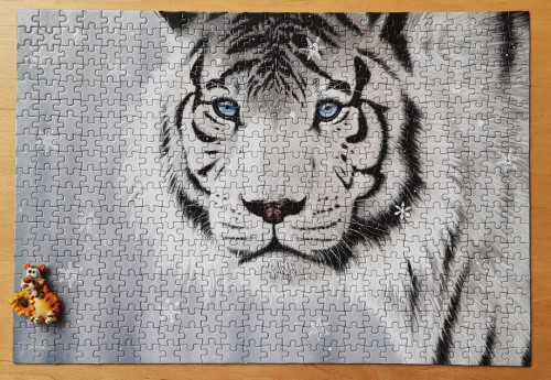 IMG-20220210-WA0001.jpg (247.61 КБ) 701 просмотр IMG-20220210-WA0001.jpg