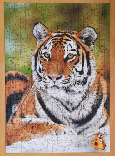 IMG-20220213-WA0002.jpg (238.92 КБ) 662 просмотра IMG-20220213-WA0002.jpg