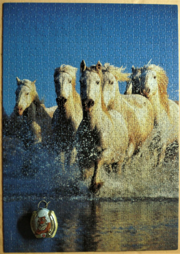 пазлозима 28.JPG