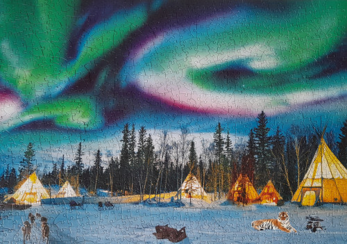 Northern Lights tiger.jpg