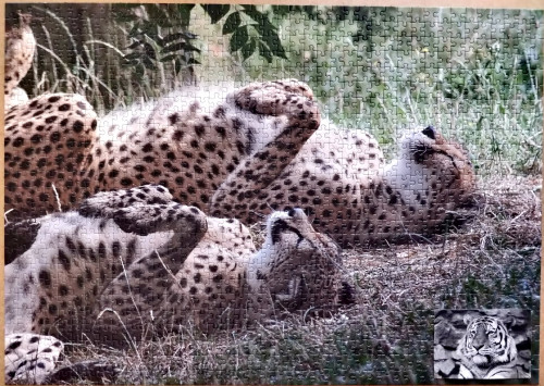 5.jpg (2.35 МБ) 372 просмотра 5.jpg