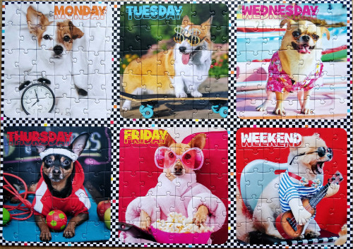 IMG_20220506_144833.jpg (2.3 МБ) 1484 просмотра IMG_20220506_144833.jpg