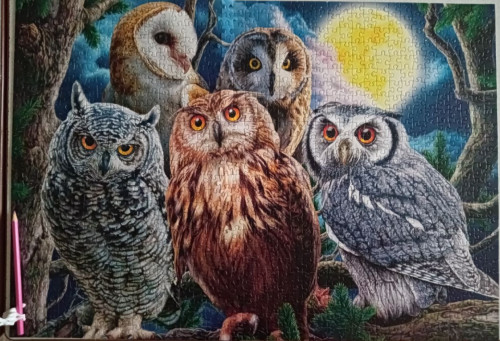 photo_2023-01-08_10-42-47 (2).jpg