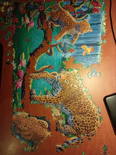 Напоили животных