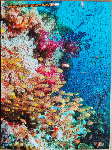 IMG20230111131436.jpg (2.33 МБ) 1082 просмотра IMG20230111131436.jpg