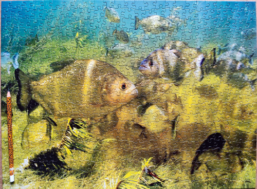 IMG20230111131631.jpg (2.64 МБ) 1066 просмотров IMG20230111131631.jpg