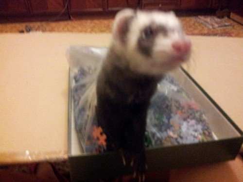 2011-11-14 20.11.32.jpg