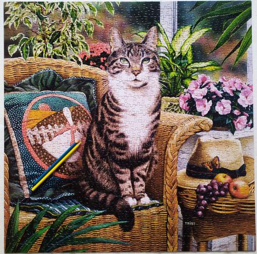 IMG_20230117_085115.jpg (2.69 МБ) 778 просмотров IMG_20230117_085115.jpg