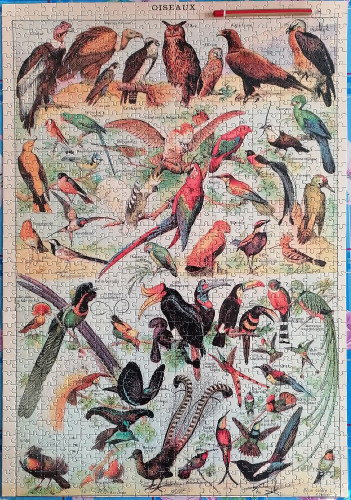 IMG_20230119_132427.jpg (535.85 КБ) 691 просмотр IMG_20230119_132427.jpg