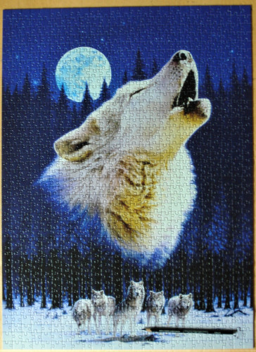 пазлозима 3.JPG