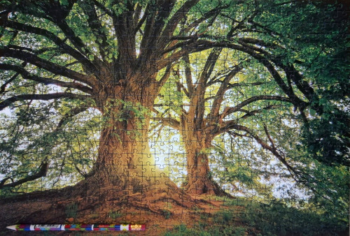 IMG_20230123_083746_copy_3656x2472.jpg (2.45 МБ) 801 просмотр IMG_20230123_083746_copy_3656x2472.jpg