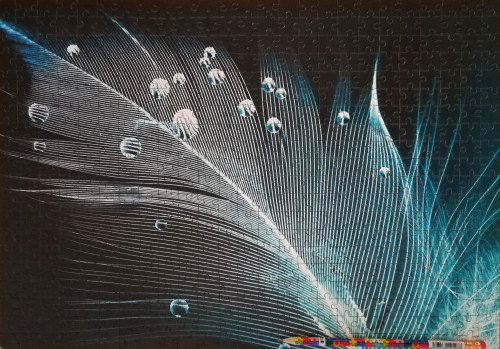 IMG_20230121_192328_copy_3569x2488.jpg (1.94 МБ) 614 просмотров IMG_20230121_192328_copy_3569x2488.jpg