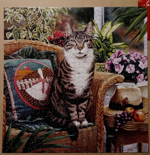 20230205_000629123.jpg (1.19 МБ) 1007 просмотров 20230205_000629123.jpg