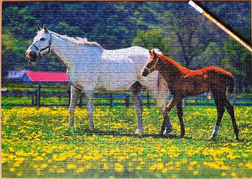 IMG20230201135413.jpg (2.56 МБ) 914 просмотров IMG20230201135413.jpg