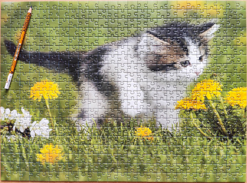 IMG20230205123223.jpg (1.9 МБ) 781 просмотр IMG20230205123223.jpg