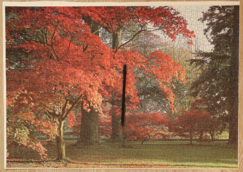 IMG_20230212_171038.jpg (2.34 МБ) 890 просмотров IMG_20230212_171038.jpg