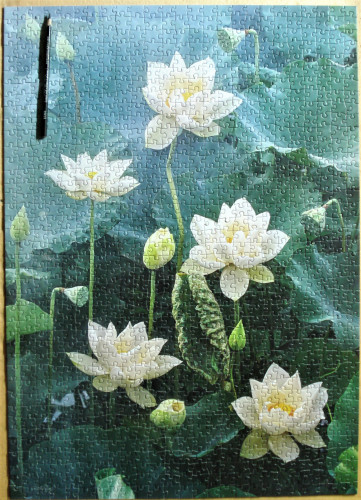 пазлозима 9.JPG