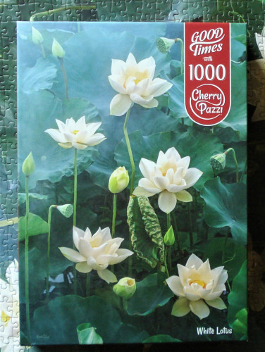 белый лотос.JPG (616.16 КБ) 889 просмотров белый лотос.JPG
