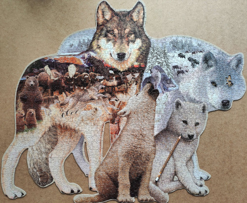 IMG20230212142558.jpg (2.88 МБ) 1074 просмотра IMG20230212142558.jpg