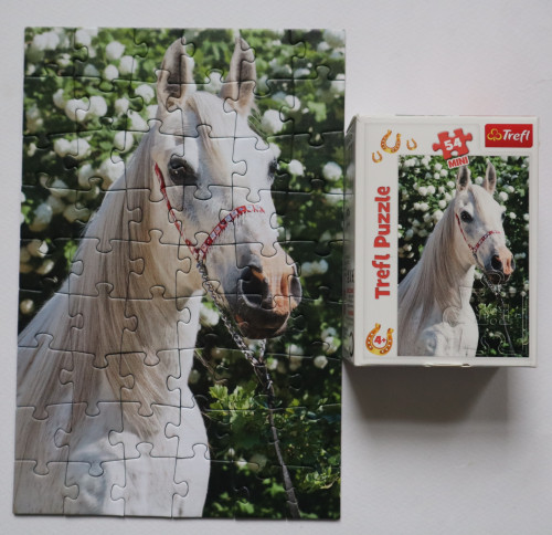 IMG_20230219_201036.jpg (1.28 МБ) 1357 просмотров IMG_20230219_201036.jpg