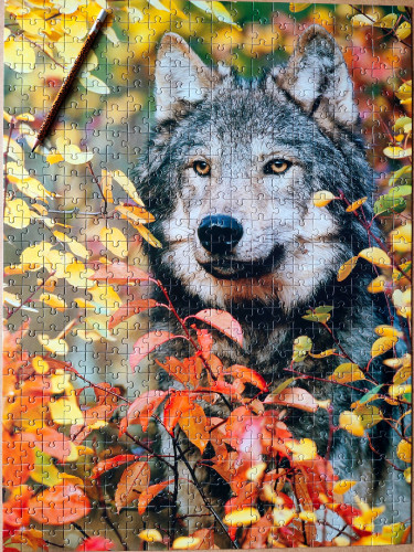 IMG20230216095342.jpg (2.31 МБ) 977 просмотров IMG20230216095342.jpg