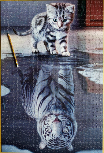 IMG20230216095804.jpg (2.53 МБ) 945 просмотров IMG20230216095804.jpg