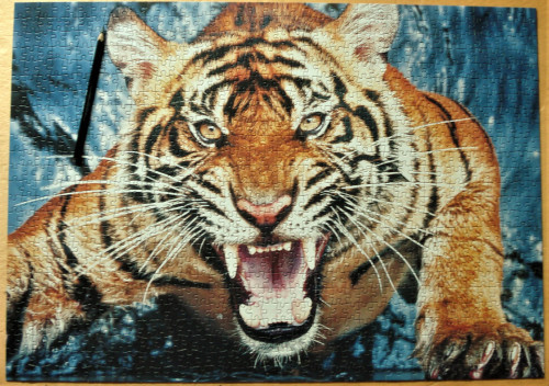 пазлозима 14.JPG (1.35 МБ) 886 просмотров пазлозима 14.JPG